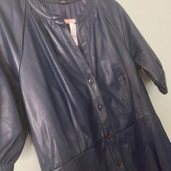 Ann Taylor Blue Faux Leather Dress - Picture 7 of 11